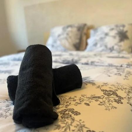 Cosy Rent Strasbourg Appartement Wifi Terrasse Eksteriør bilde