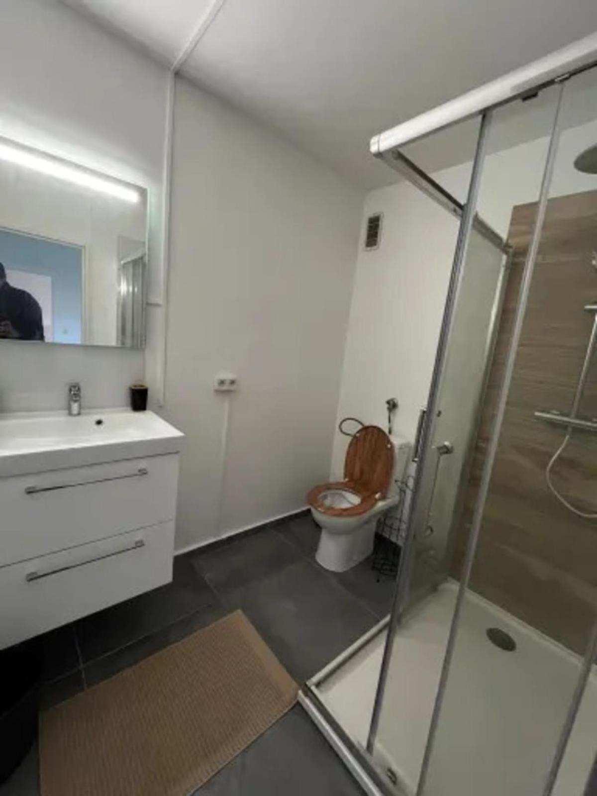 Cosy Rent Strasbourg Appartement Wifi Terrasse Eksteriør bilde