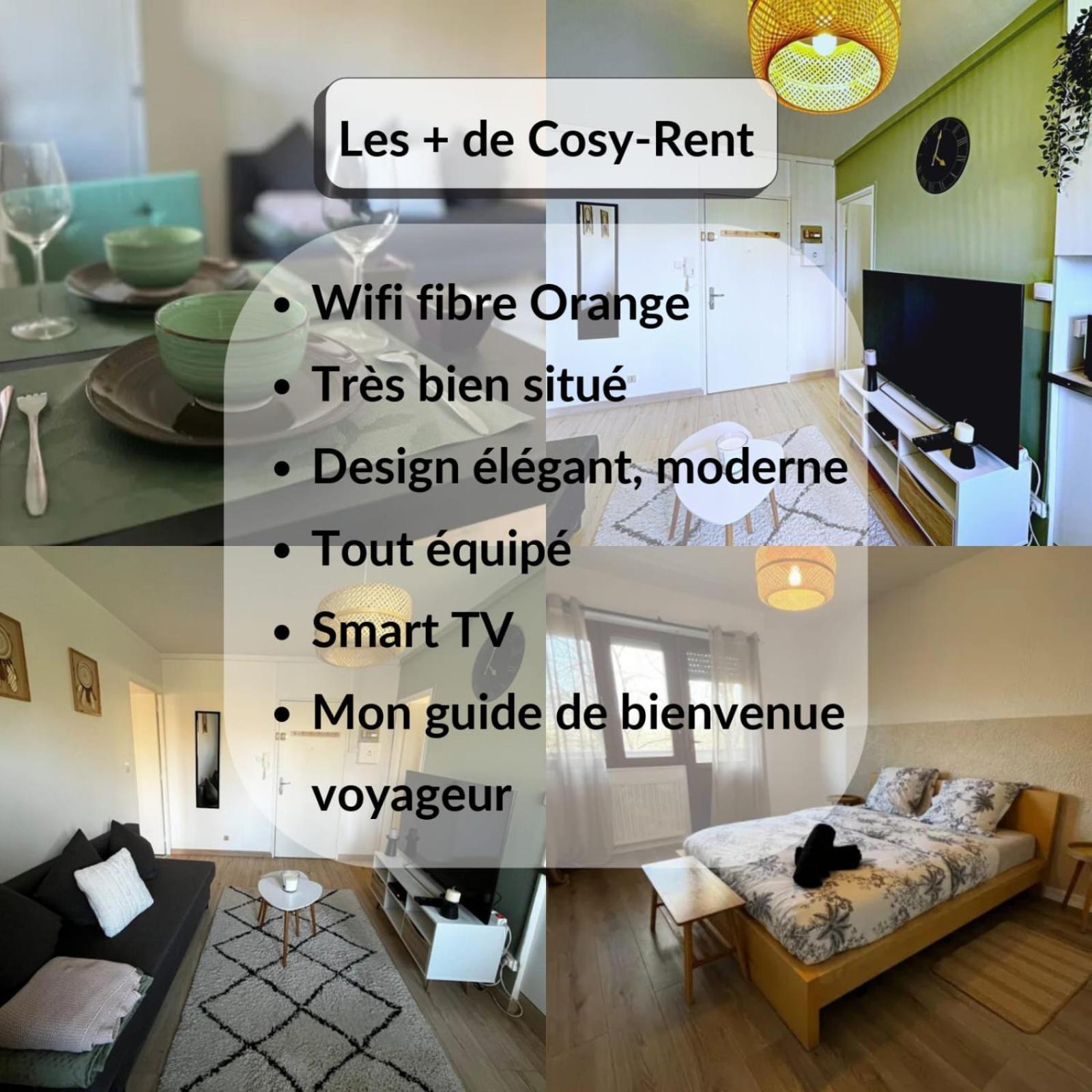 Cosy Rent Strasbourg Appartement Wifi Terrasse Eksteriør bilde