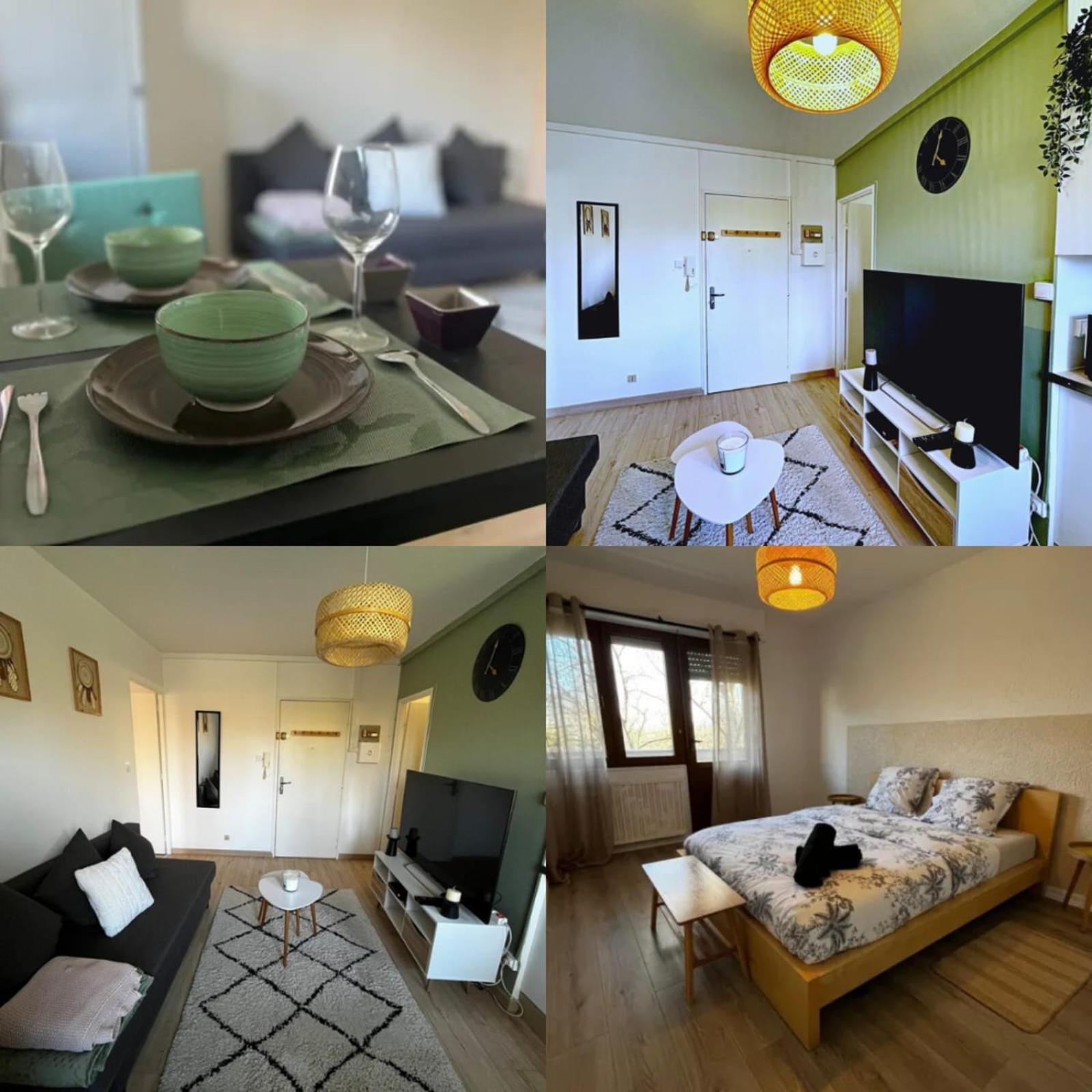 Cosy Rent Strasbourg Appartement Wifi Terrasse Eksteriør bilde